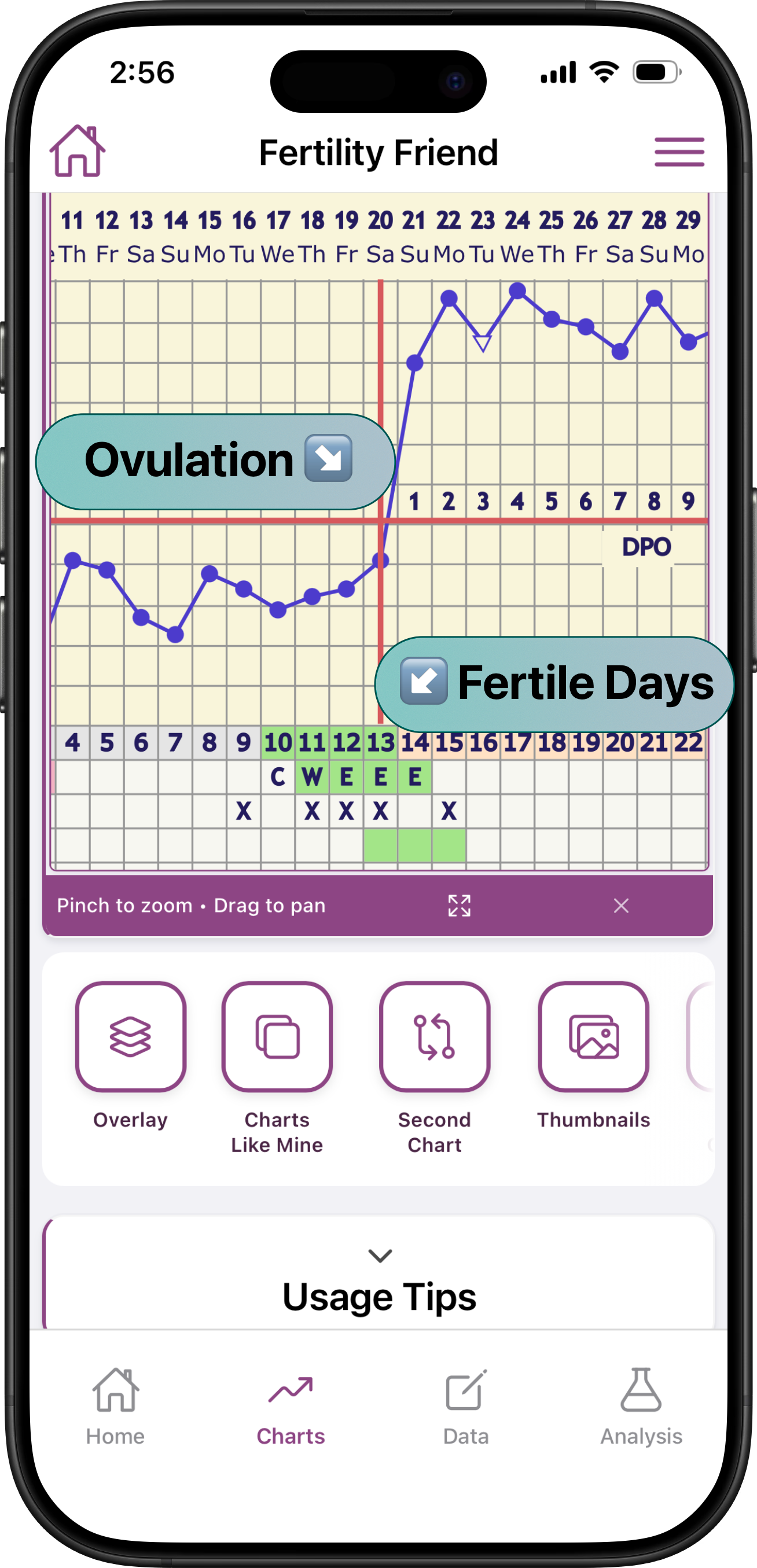 BBT temperature chart with ovulation detected and chart comparison tools